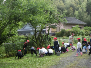 Cimg7973_2