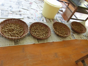 Cimg8546