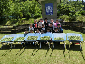 Cimg0316 Cimg0316