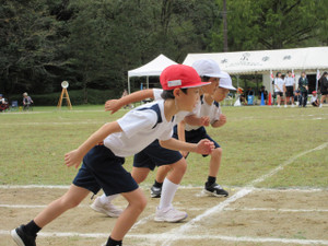 Img_1202 Img_1202