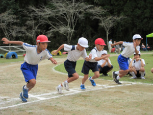 Img_1208 Img_1208