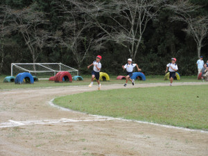 Img_1211 Img_1211