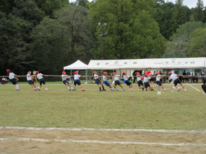 Img_1223 Img_1223