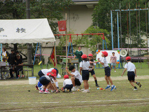 Img_1225 Img_1225