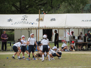 Img_1226 Img_1226