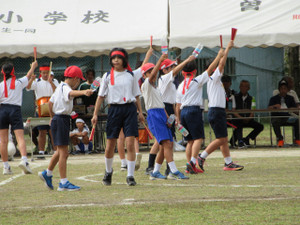 Img_1289 Img_1289