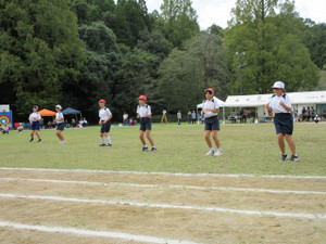 Img_1296 Img_1296