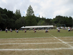 Img_1301 Img_1301