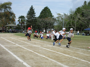 Img_1307 Img_1307
