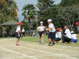 Img_1311 Img_1311