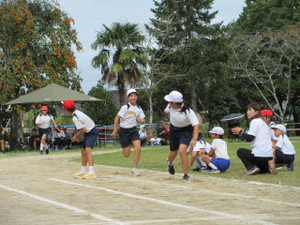 Img_1313 Img_1313