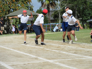 Img_1316 Img_1316